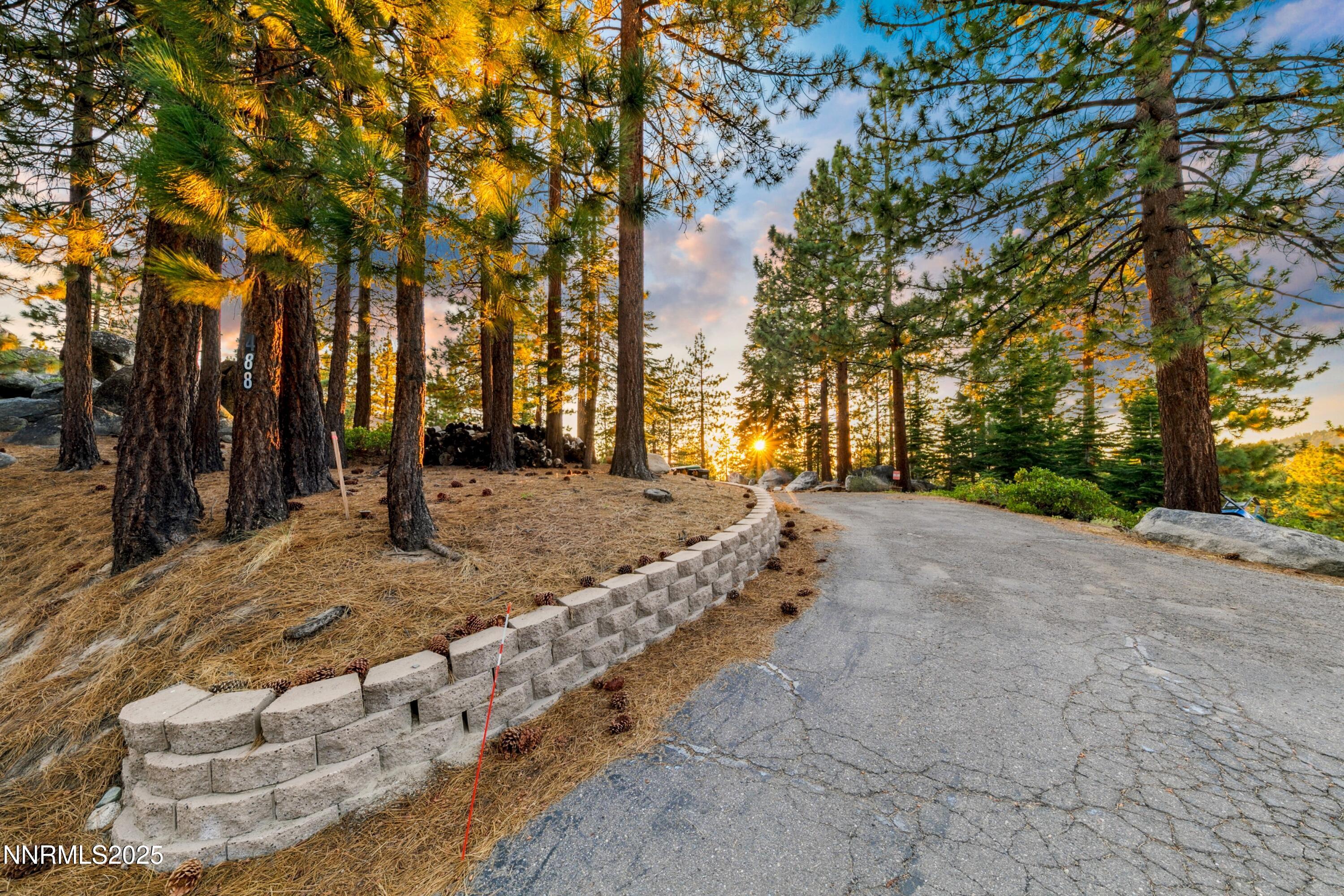 488 Laurel Lane Stateline, NV 89449 - Photo 7 of 25 a view of a yard with trees