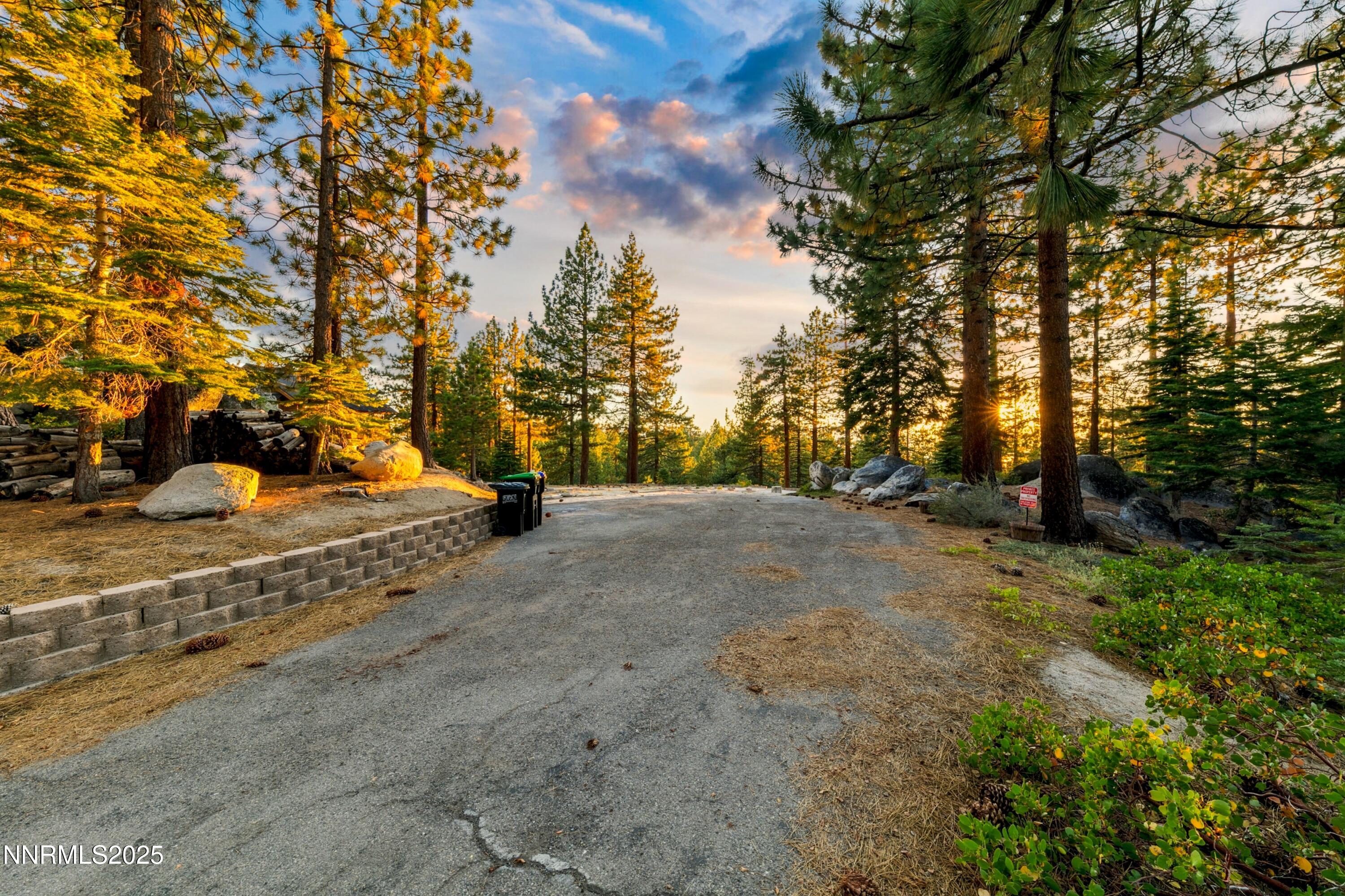 488 Laurel Lane Stateline, NV 89449 - Photo 8 of 25 a view of outdoor space yard and tree