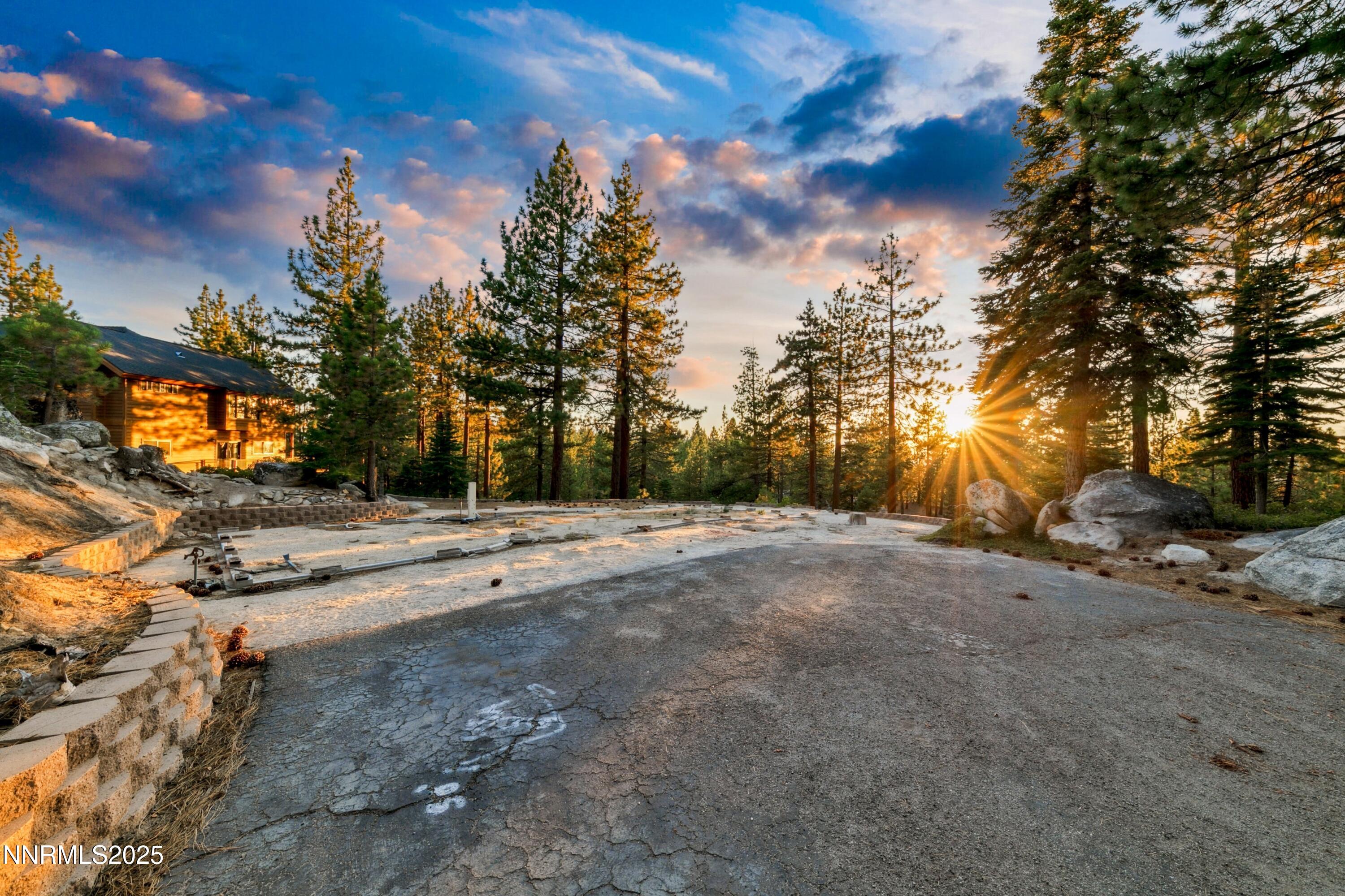488 Laurel Lane Stateline, NV 89449 - Photo 9 of 25 a view of a yard with a tree