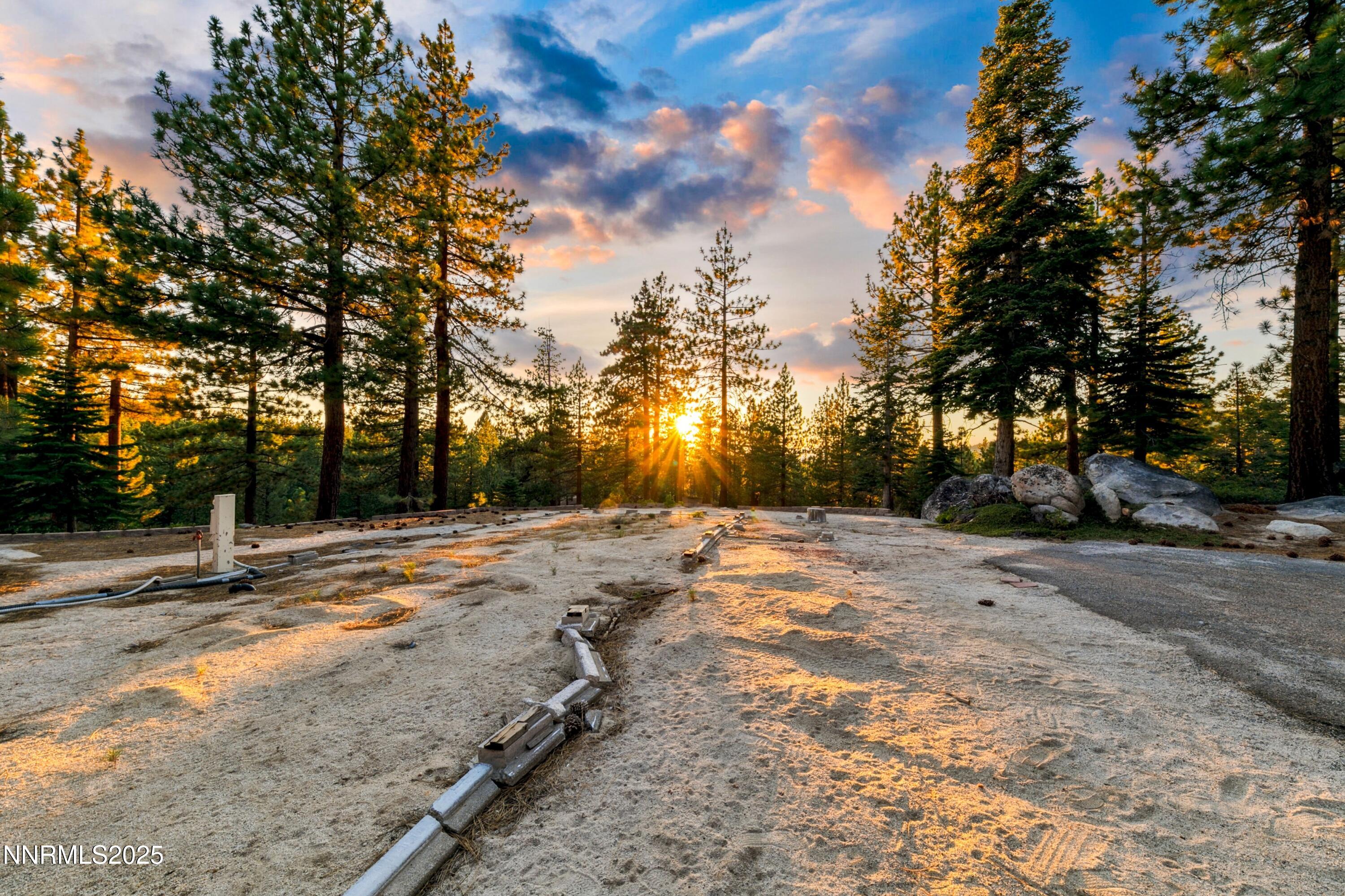 488 Laurel Lane Stateline, NV 89449 - Photo 10 of 25 a view of a yard with a tree