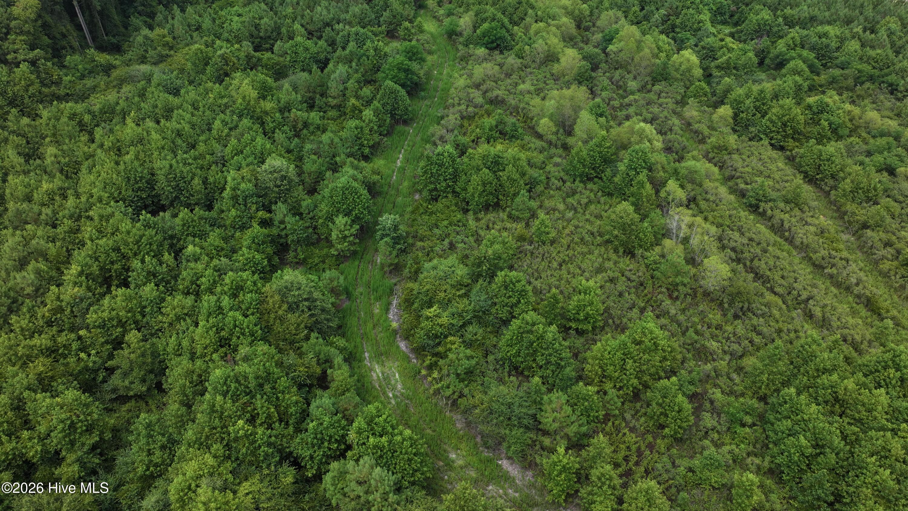 2 Alderman Road Wallace, NC 28466 - Photo 5 of 13 Gallery Image 5