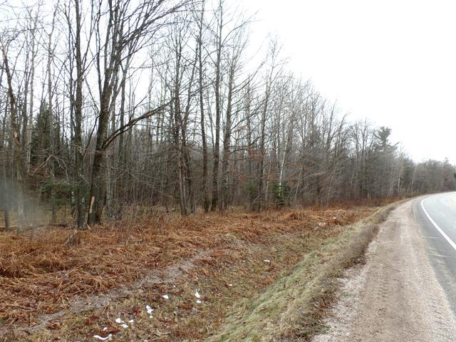 17 Merrill Wi 54452 Rhinelander, WI 54501 - Photo 3 of 3 Gallery Image 3
