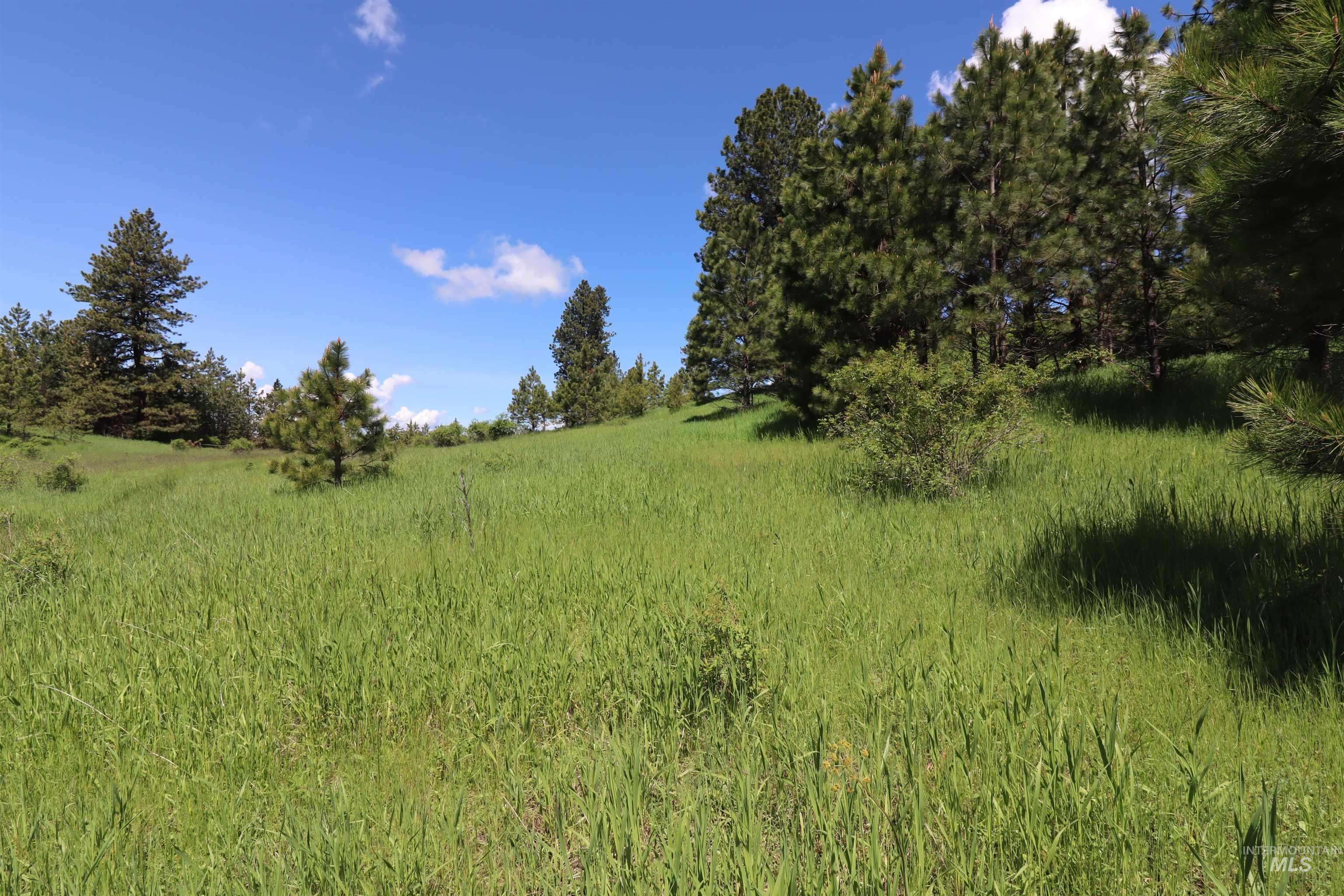 Tbd Serenity Road Kamiah, ID 83536 - Photo 5 of 14
