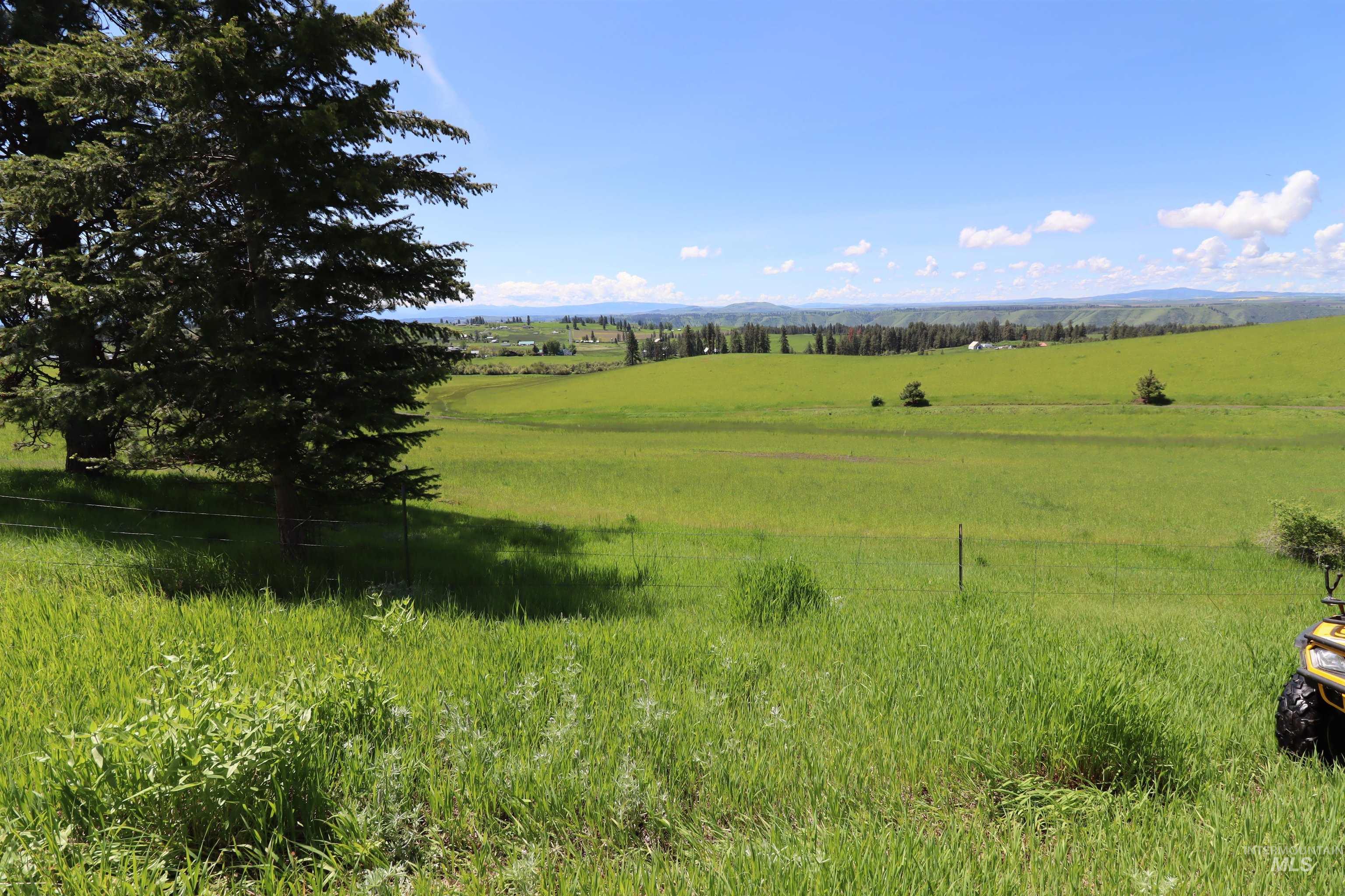 Tbd Serenity Road Kamiah, ID 83536 - Photo 6 of 14