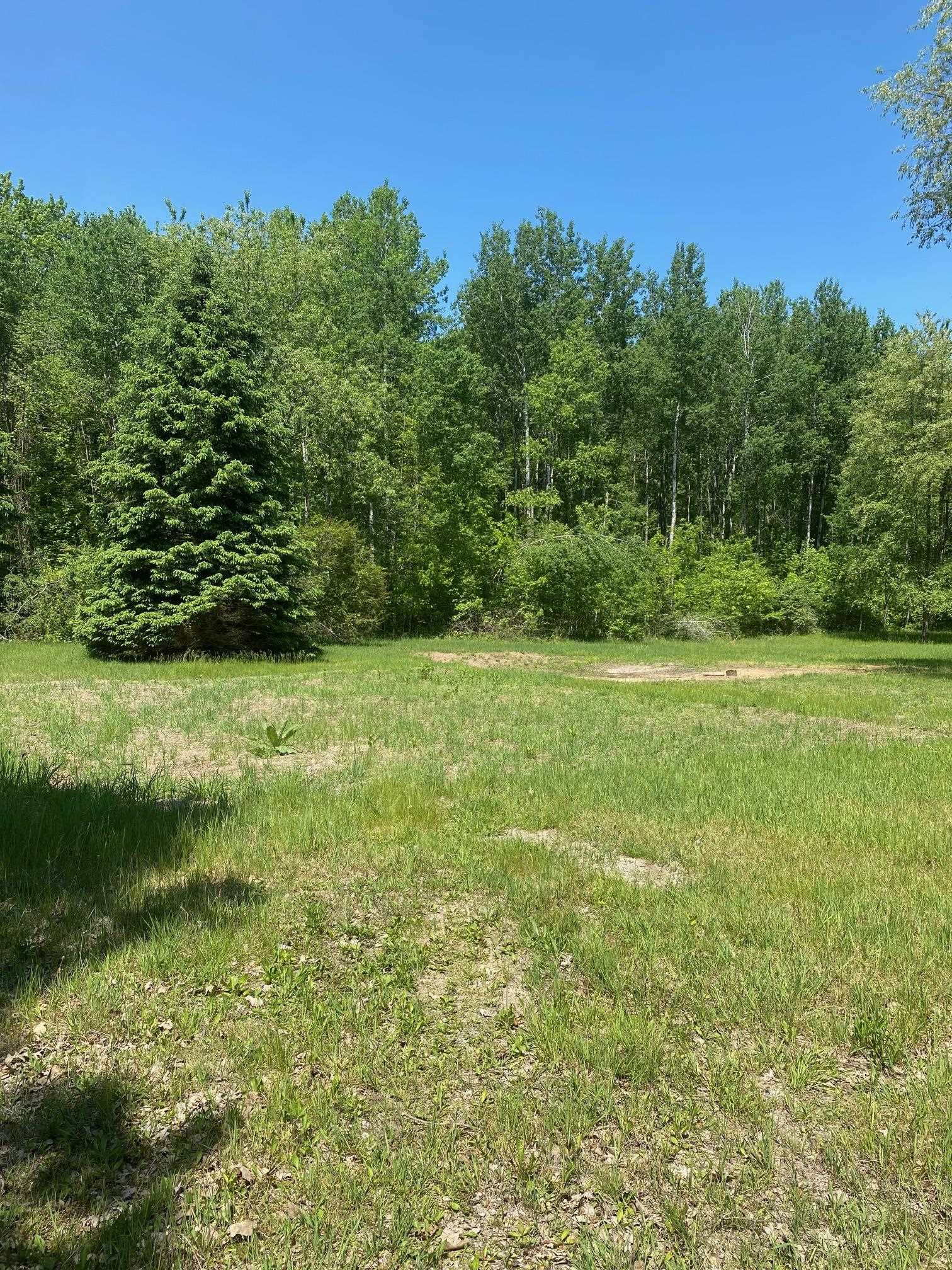 3302 Dana Road Coleman, MI 48618 - Photo 46 of 50