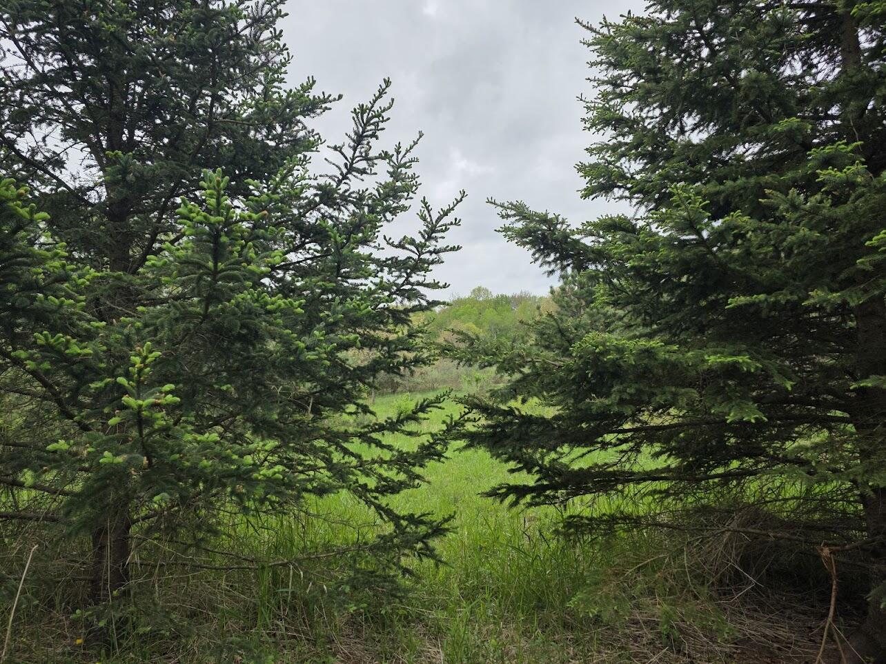 Holton Road Holton, MI 49425 - Photo 2 of 8 unnamed