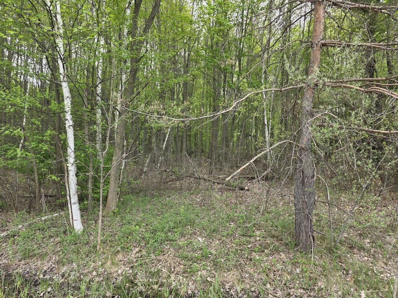 Holton Road Holton, MI 49425 - Photo 8 of 8 unnamed (5)