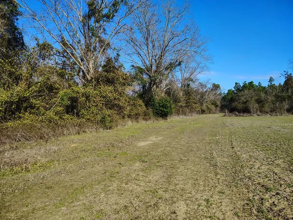 $45,000 | 0 Guy Branch Road, Cottonwood, AL 36320