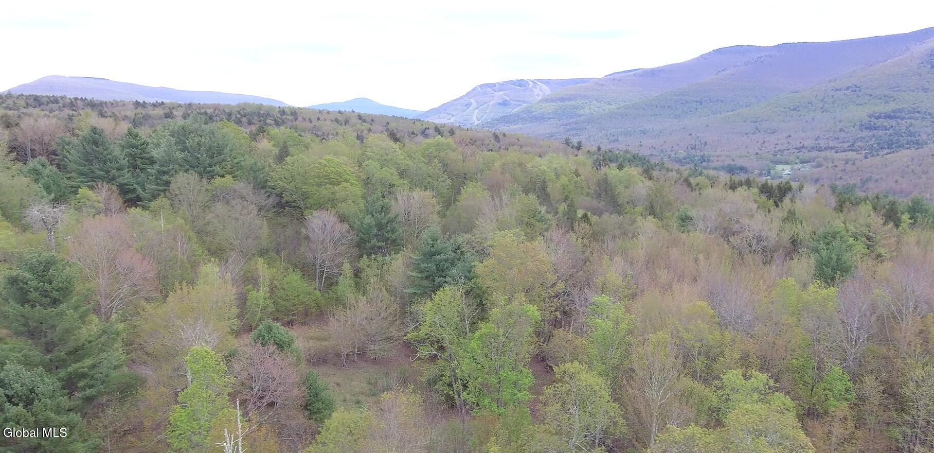 184 Cloos Road Hunter, NY 12442 - Photo 75 of 77 Screenshot (1053)