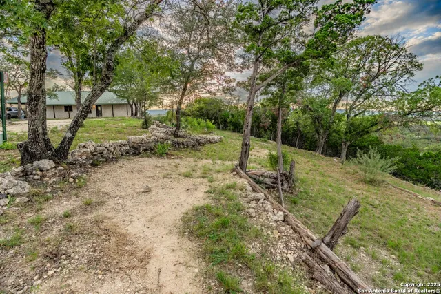 a view of a yard with plants and trees