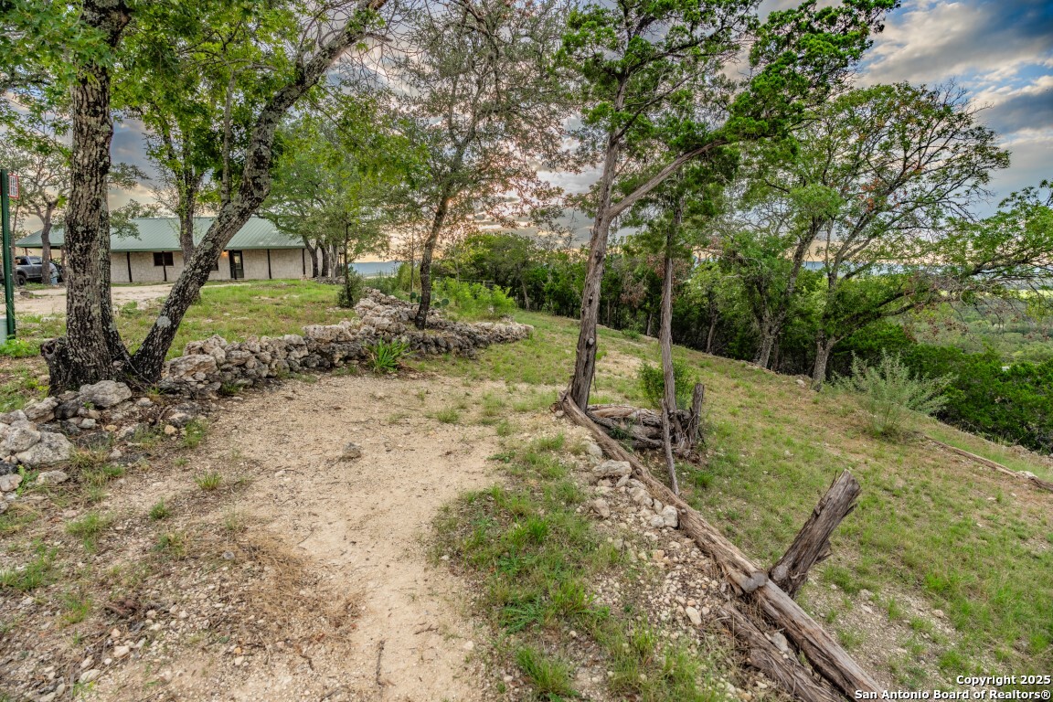 599 Mountain View Road Utopia, TX 78884 - Photo 13 of 38 a view of a yard with plants and trees