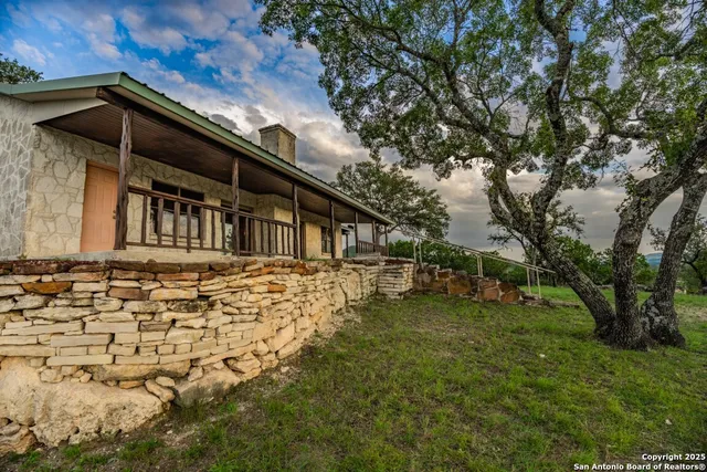 a view of a big yard with potted plants and large tree