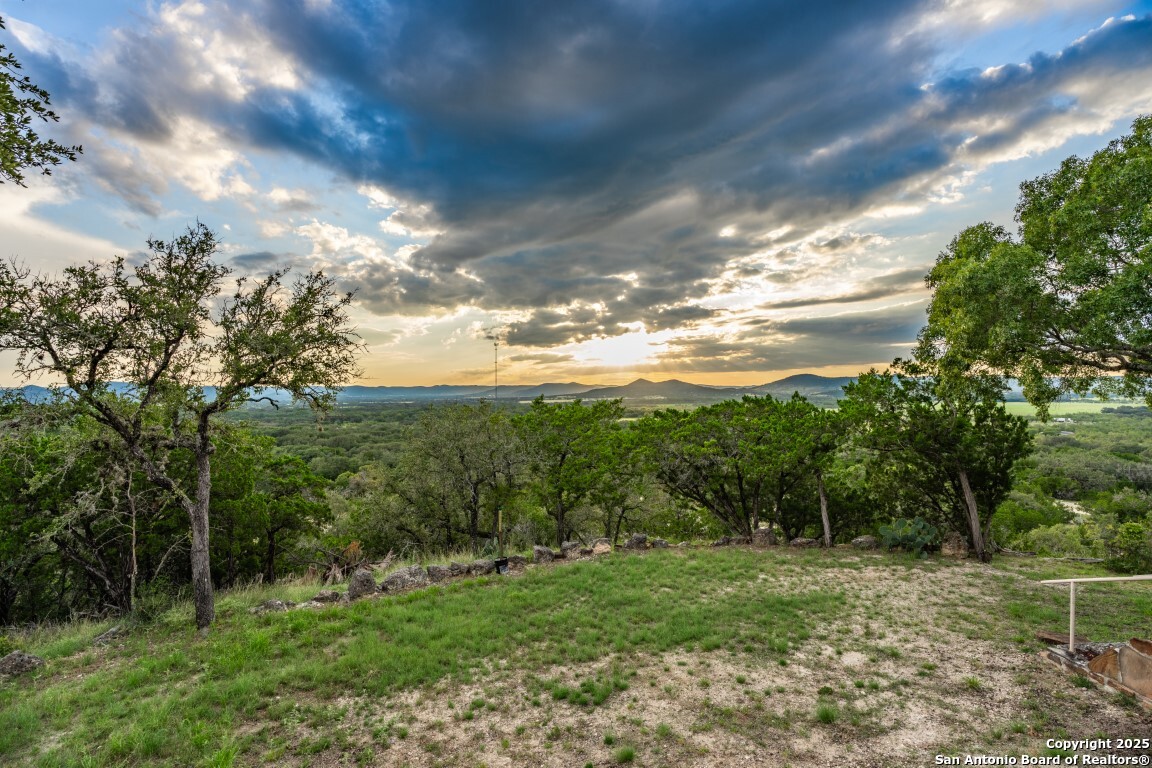 599 Mountain View Road Utopia, TX 78884 - Photo 18 of 38 a view of a big yard with potted plants and large tree