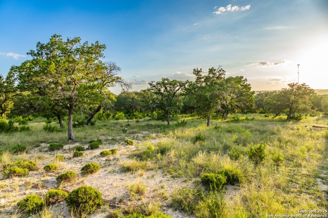 599 Mountain View Road Utopia, TX 78884 - Photo 21 of 38 a view of a field with a tree