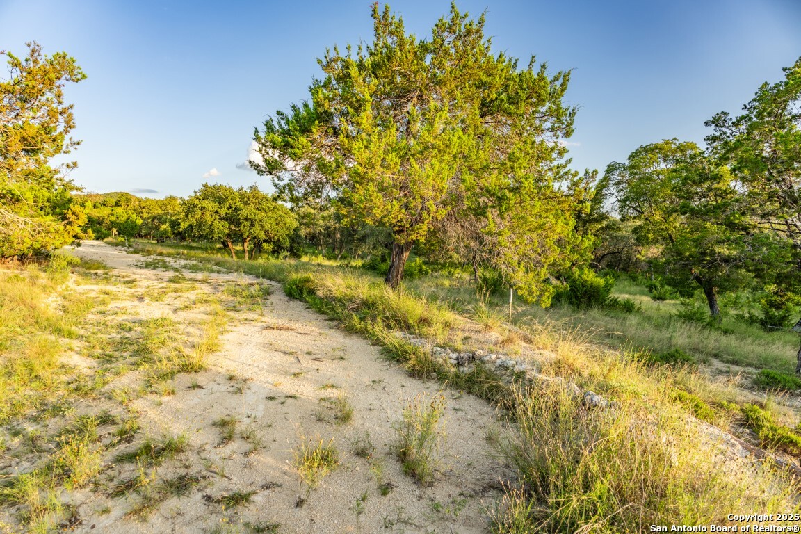 599 Mountain View Road Utopia, TX 78884 - Photo 22 of 38 a view of a yard with a tree