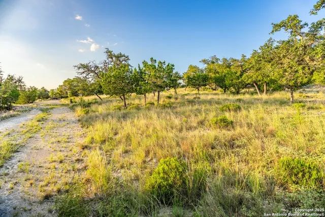a view of a green field