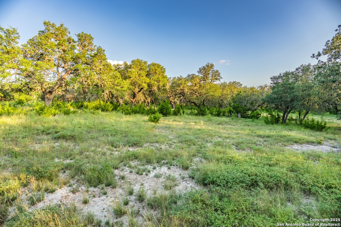 599 Mountain View Road Utopia, TX 78884 - Photo 24 of 38 a view of a green field