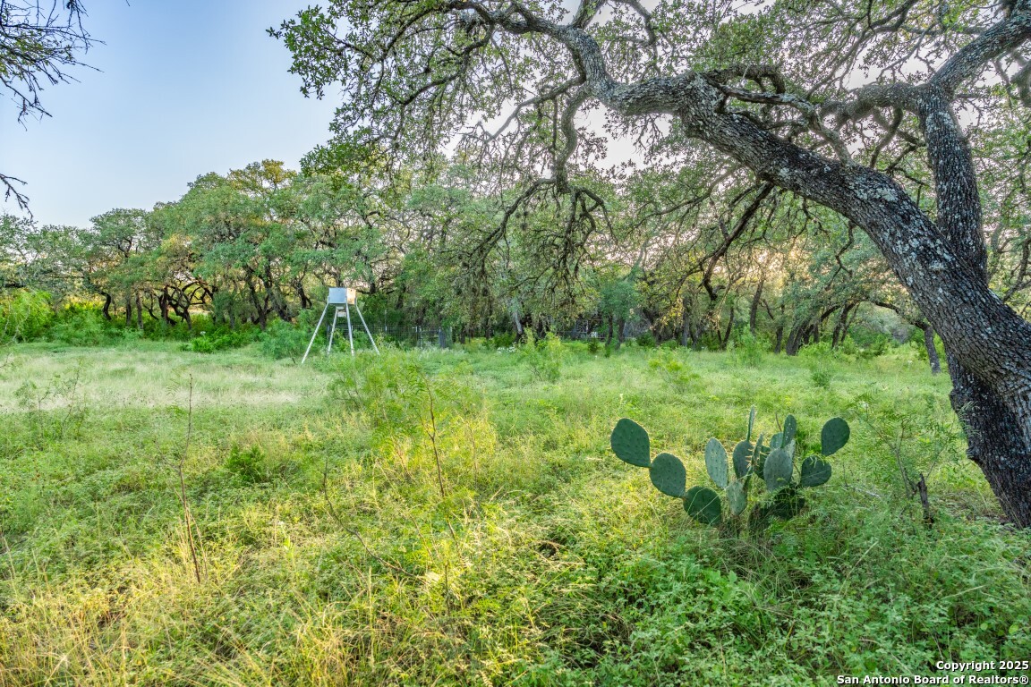 599 Mountain View Road Utopia, TX 78884 - Photo 25 of 38 a view of a lush green space