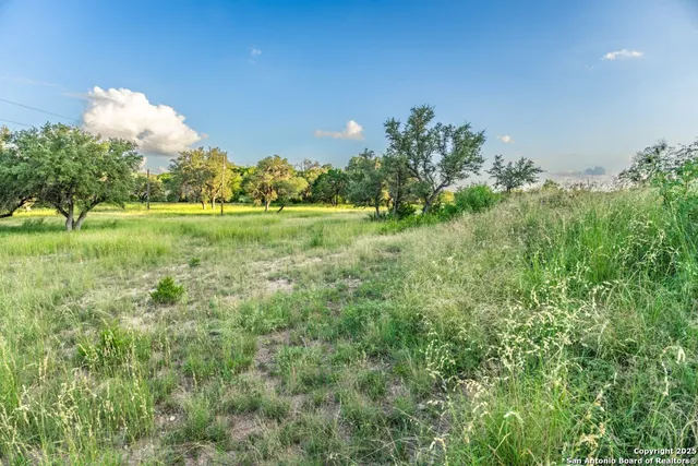 a view of yard with tree in the background