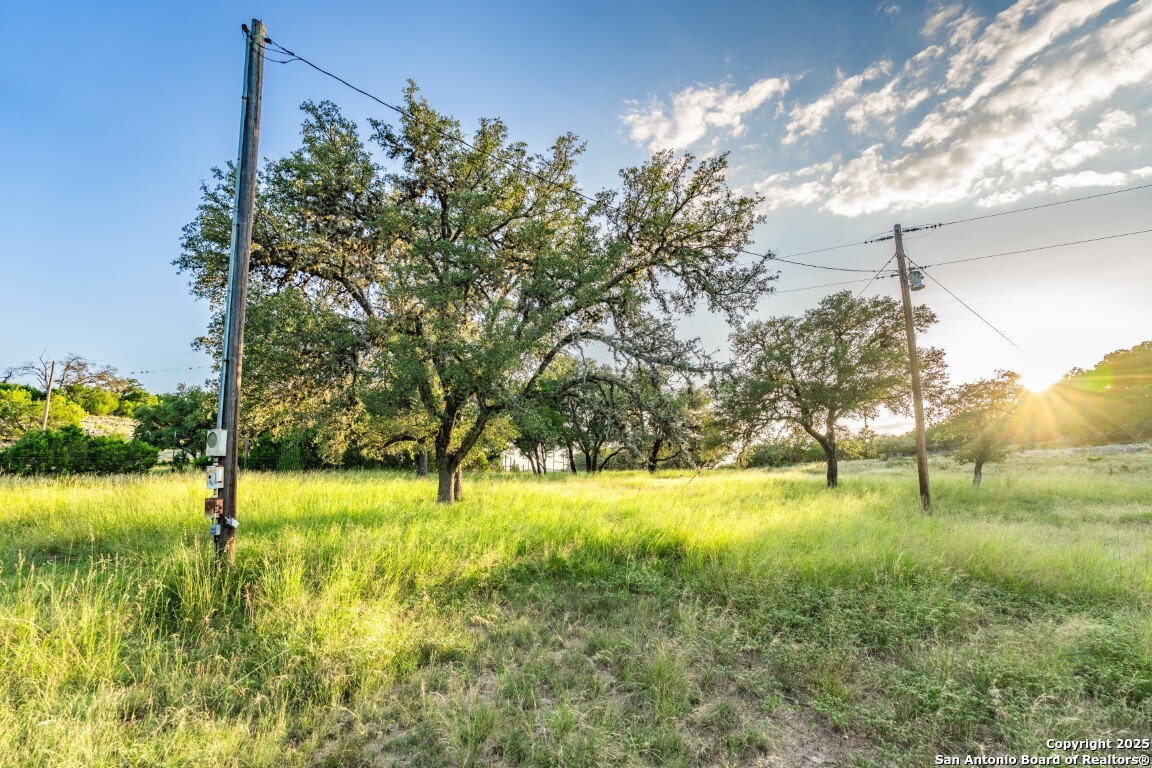599 Mountain View Road Utopia, TX 78884 - Photo 35 of 38 a view of yard with tree in the background