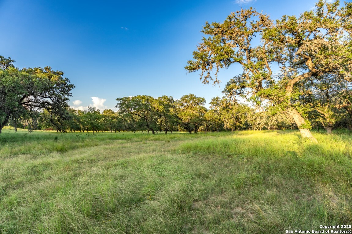 599 Mountain View Road Utopia, TX 78884 - Photo 36 of 38 a view of yard with green space