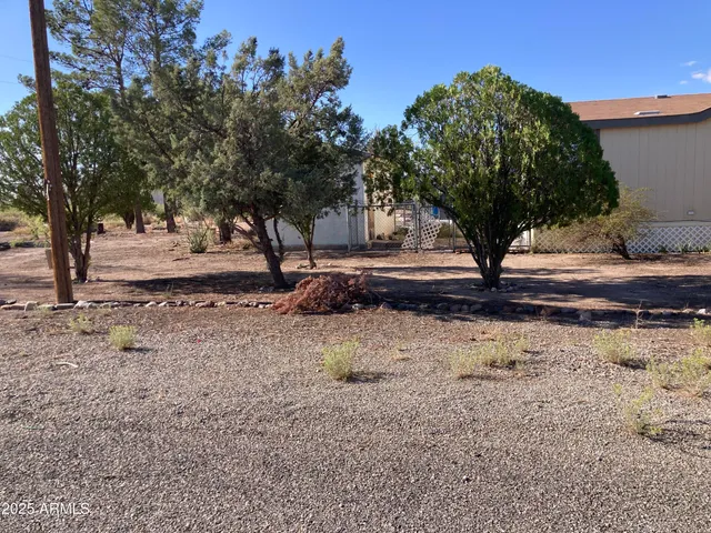 a view of a backyard with large trees