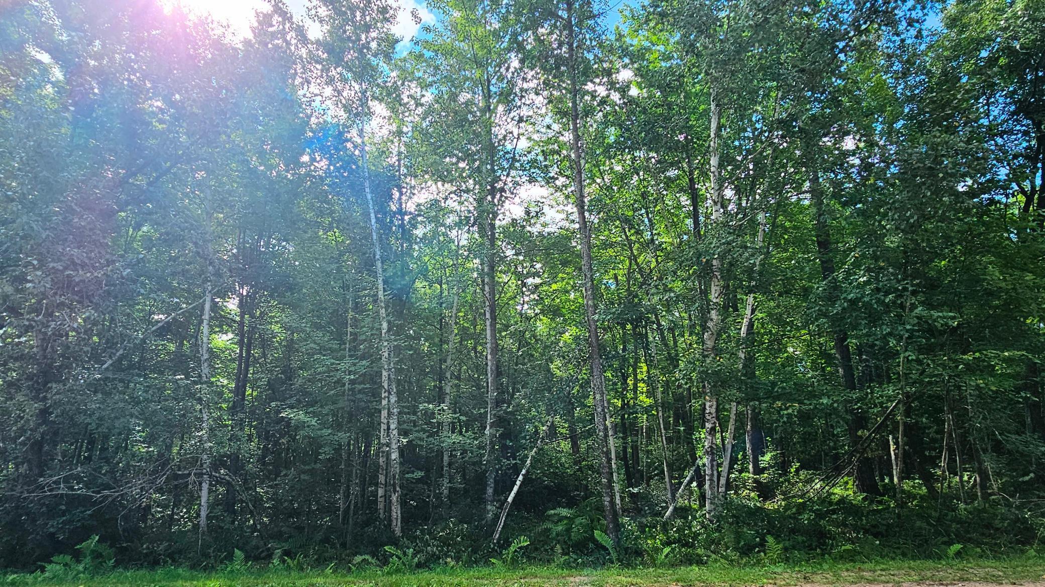 Tbd Flower Trail Breezy Point, MN 56472 - Photo 15 of 15