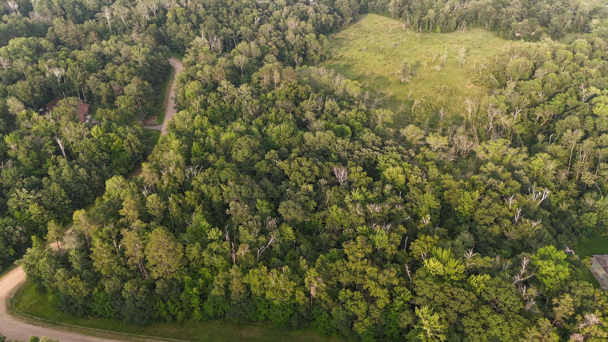 Tbd Flower Trail Breezy Point, MN 56472 - Photo 9 of 15