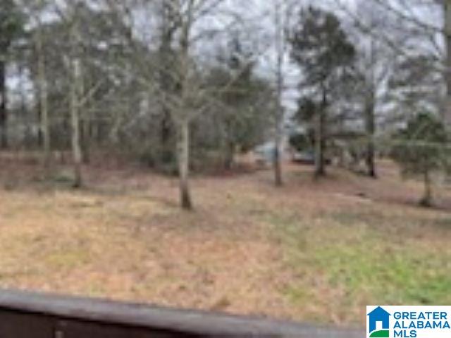 470 Fish Trap Road Cropwell, AL 35054 - Photo 11 of 37