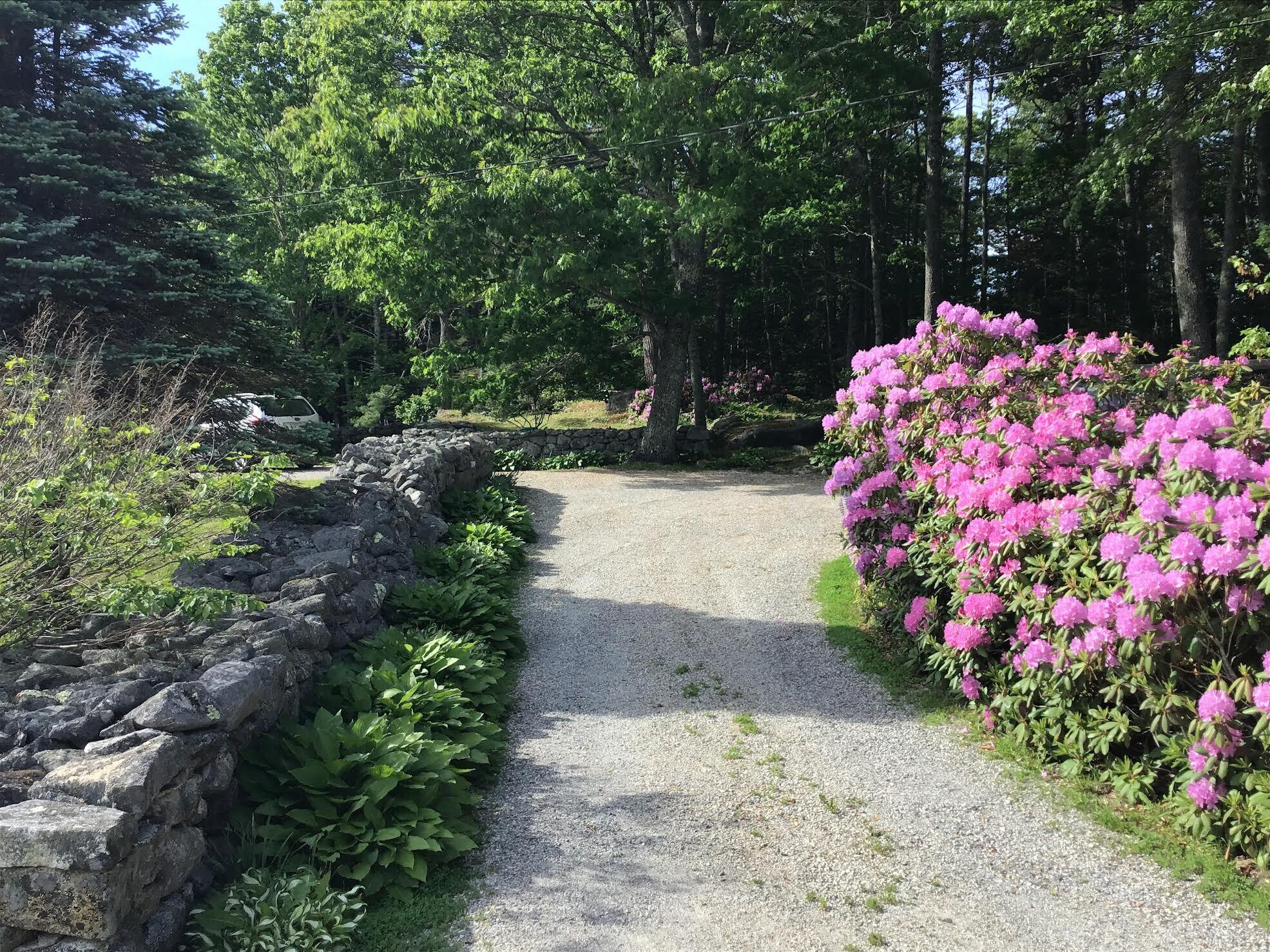 45 West Franklin Road Franklin, ME 04634 - Photo 3 of 61 Driveway