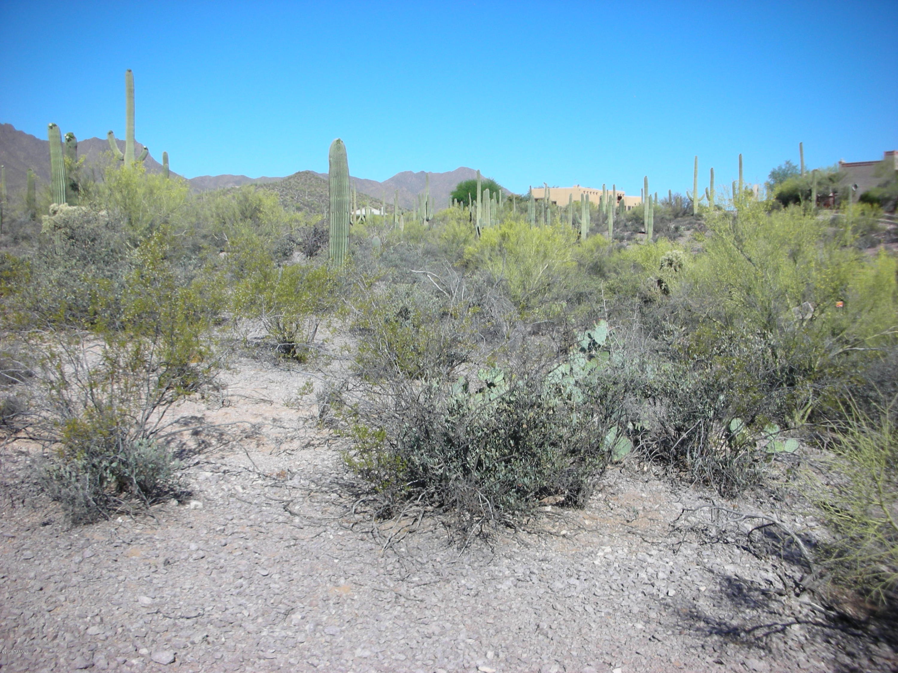 5075 West Rhyolite Loop Tucson, AZ 85745 - Photo 13 of 13 Gallery Image 13