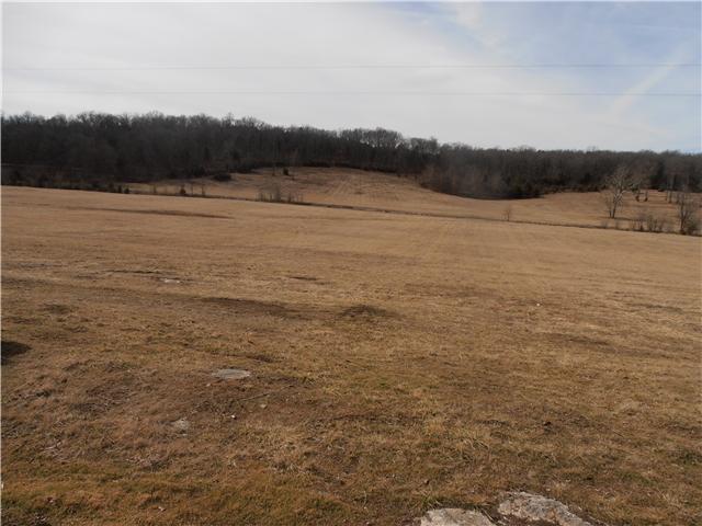 6 Old Shannon Road Lebanon, TN 37090 - Photo 2 of 3