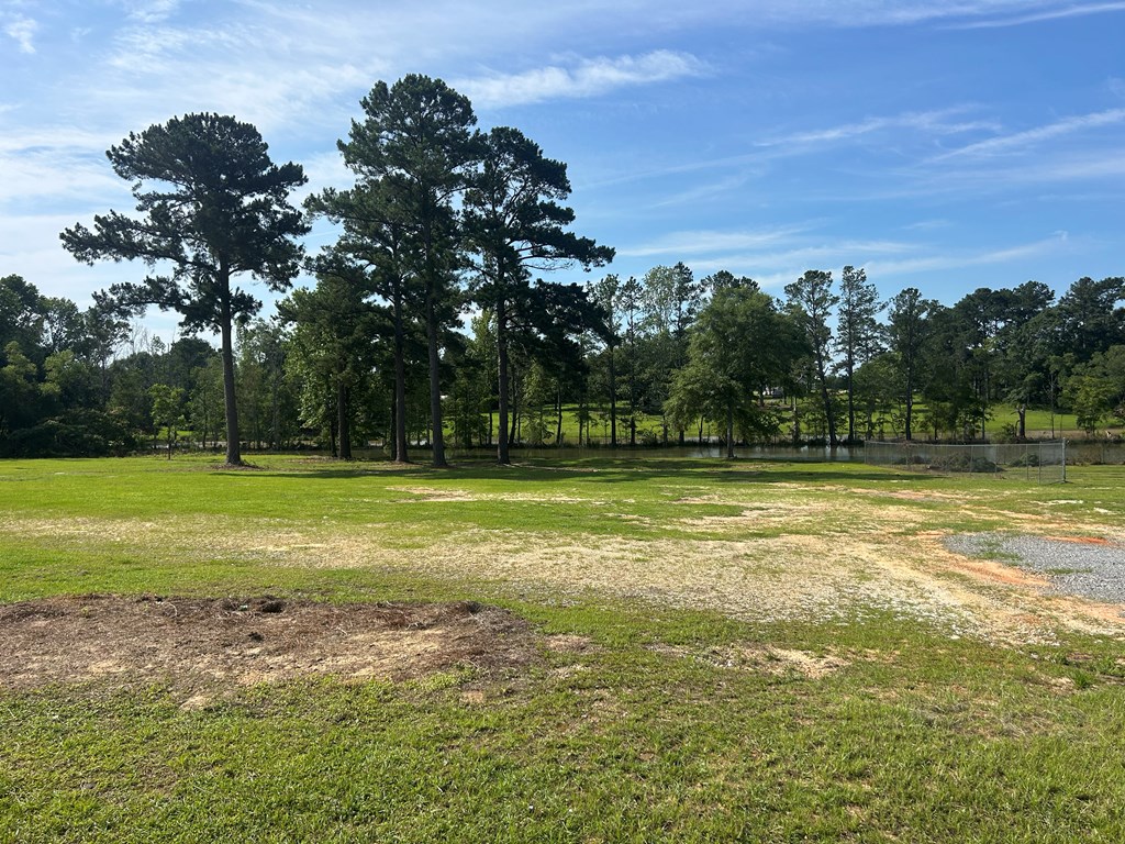 7697 Eddins Road Dothan, AL 36301 - Photo 10 of 65