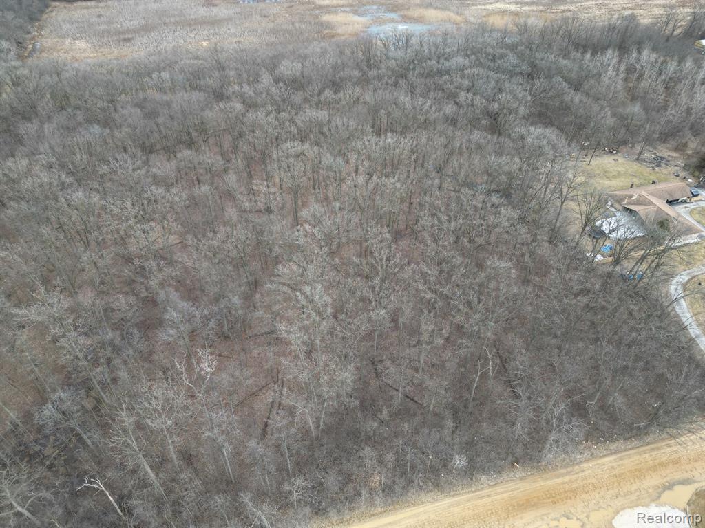 8901 Morton Taylor Road Belleville, MI 48111 - Photo 3 of 5 Gallery Image 3