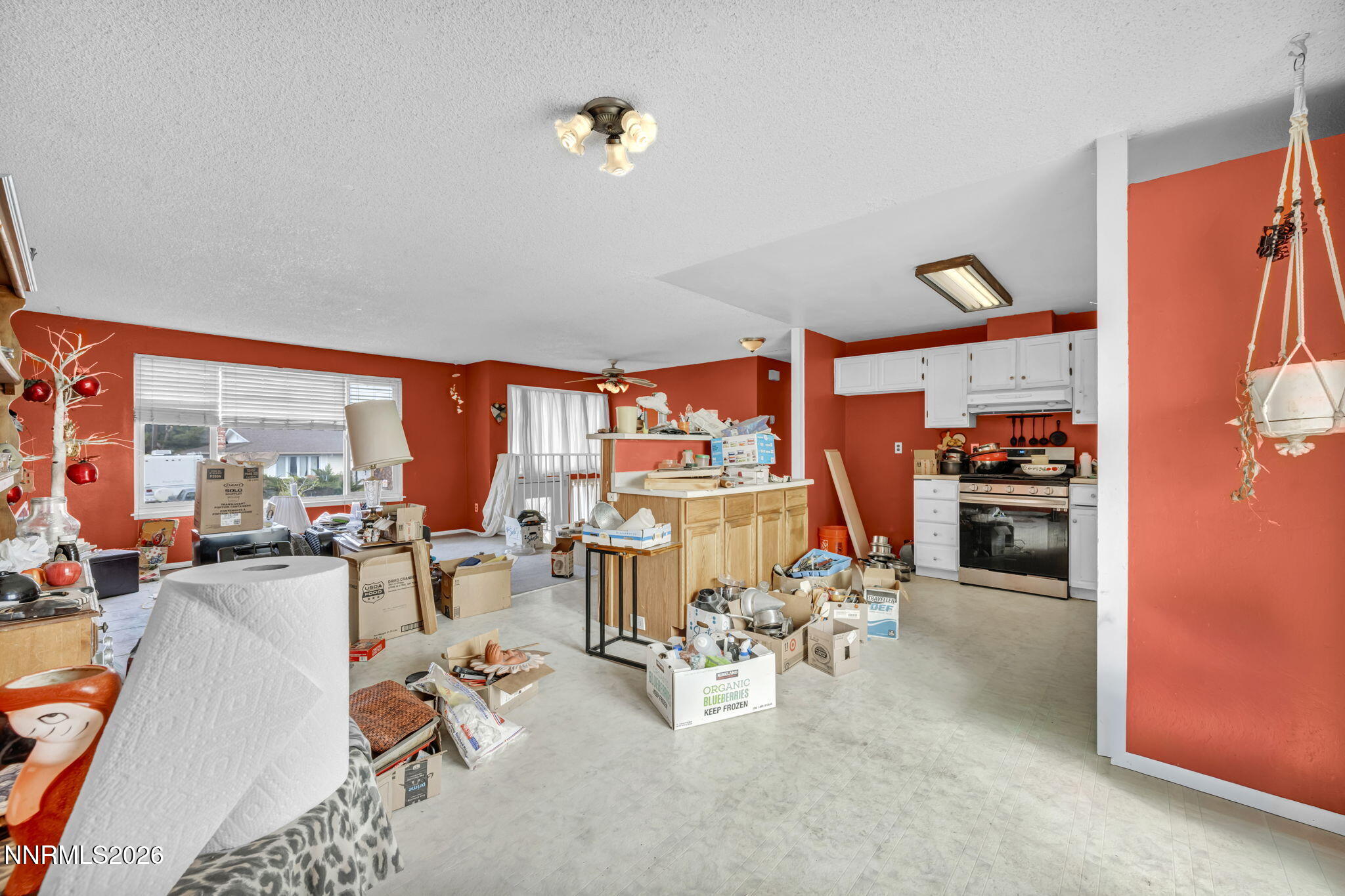 3035 Everett Drive Reno, NV 89503 - Photo 32 of 55 18-web-or-mls-3035-everett-dr