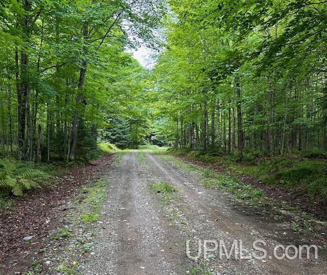 302 Barry Road Iron River, MI 49935 - Photo 30 of 34 Gallery Image 30