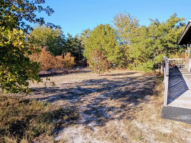 a view of a yard with plants and trees