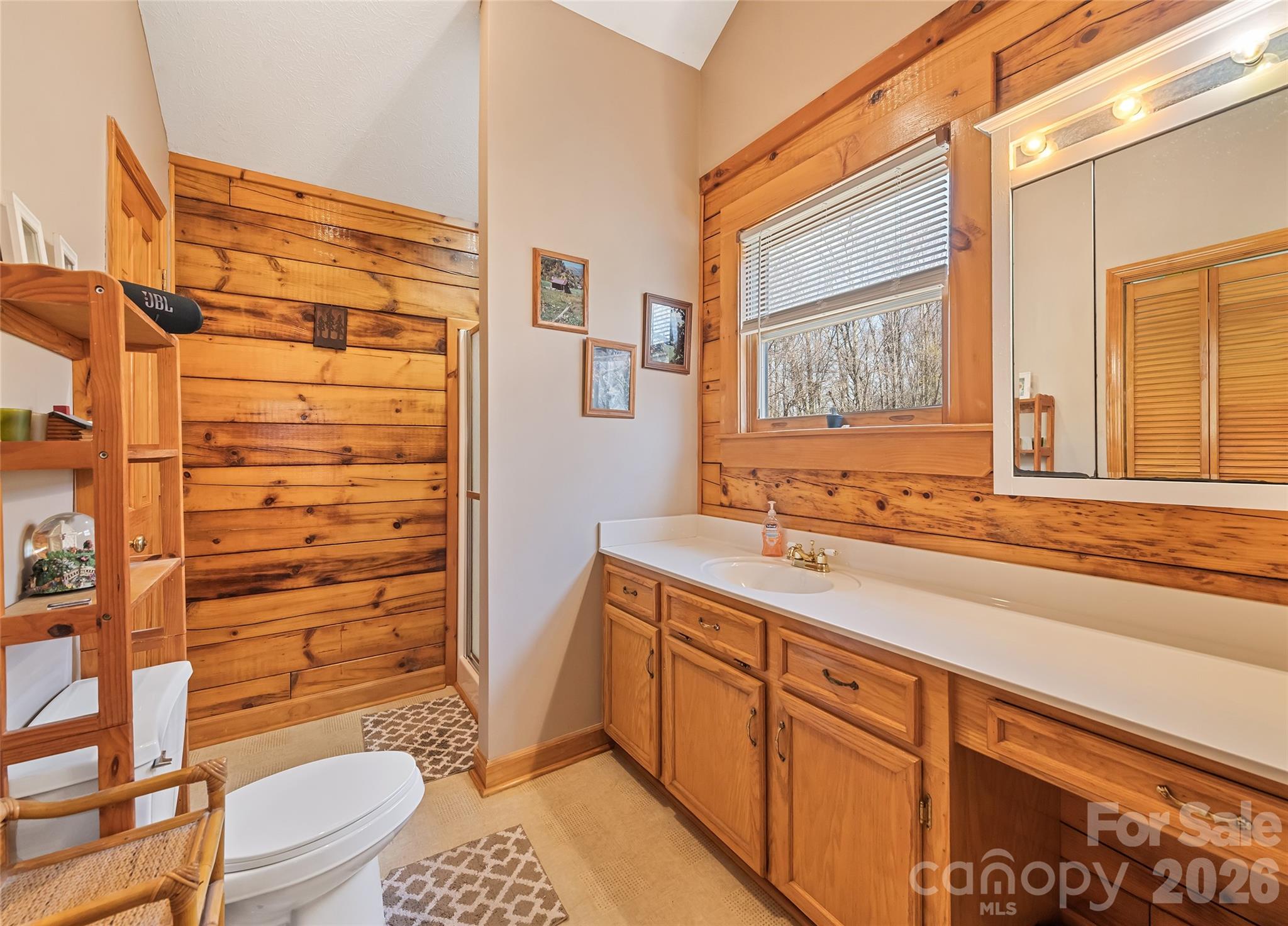 173 Blizzard Ridge Maggie Valley, NC 28751 - Photo 20 of 37 a bathroom with a sink a toilet and shower