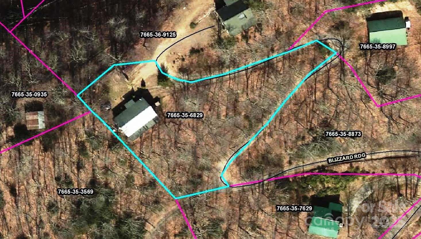 173 Blizzard Ridge Maggie Valley, NC 28751 - Photo 28 of 37