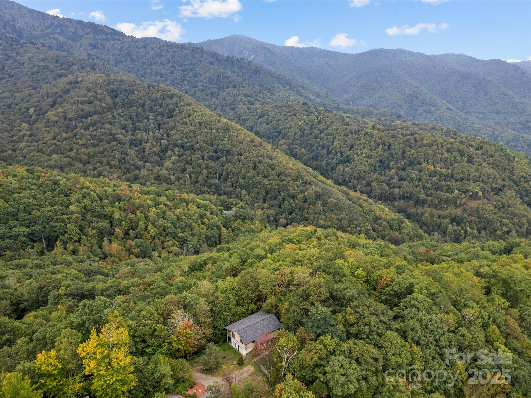 173 Blizzard Ridge Maggie Valley, NC 28751 - Photo 34 of 37 a view of a lush green hillside and a houses