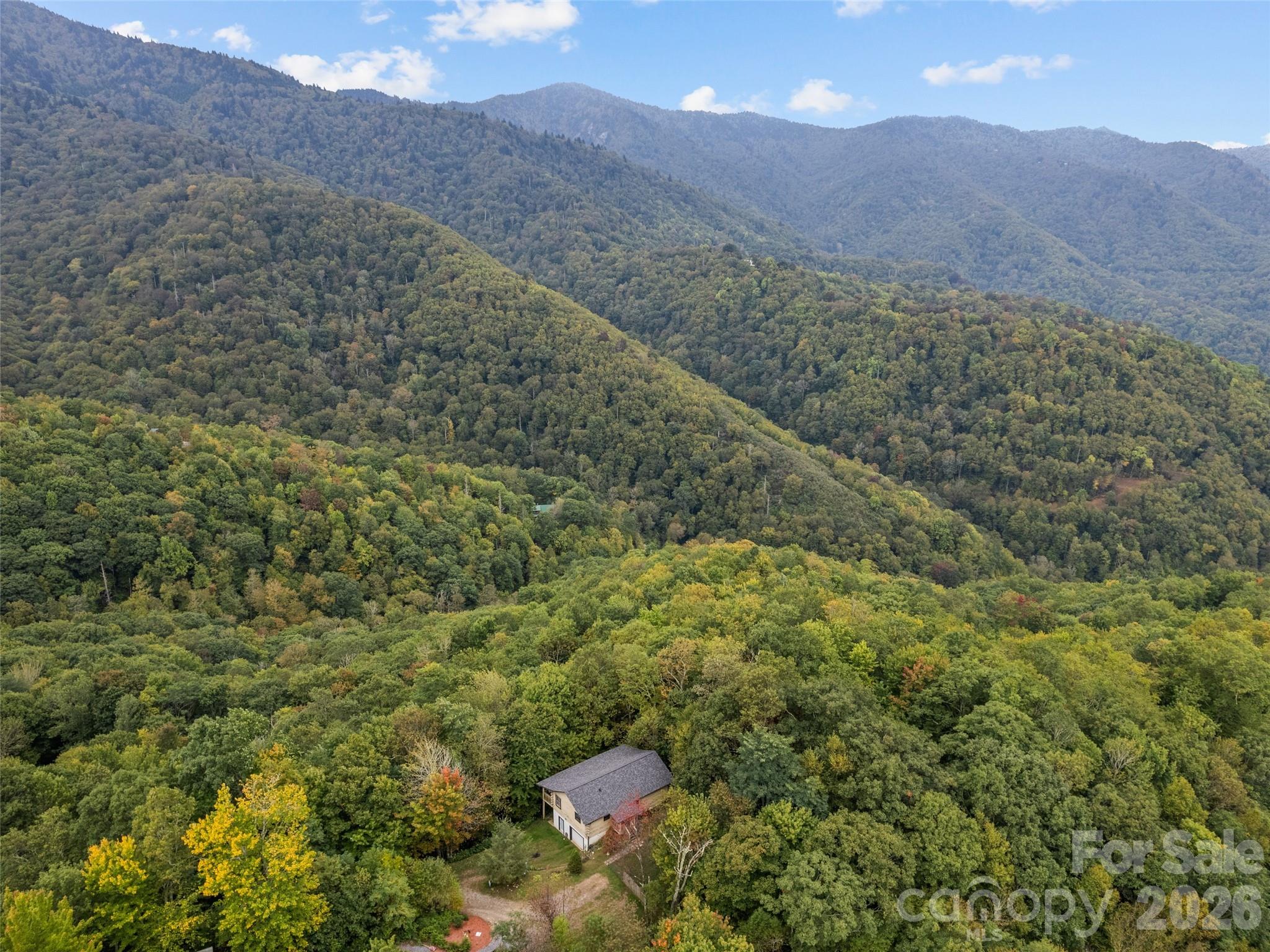 173 Blizzard Ridge Maggie Valley, NC 28751 - Photo 34 of 37 a view of a lush green hillside and a houses