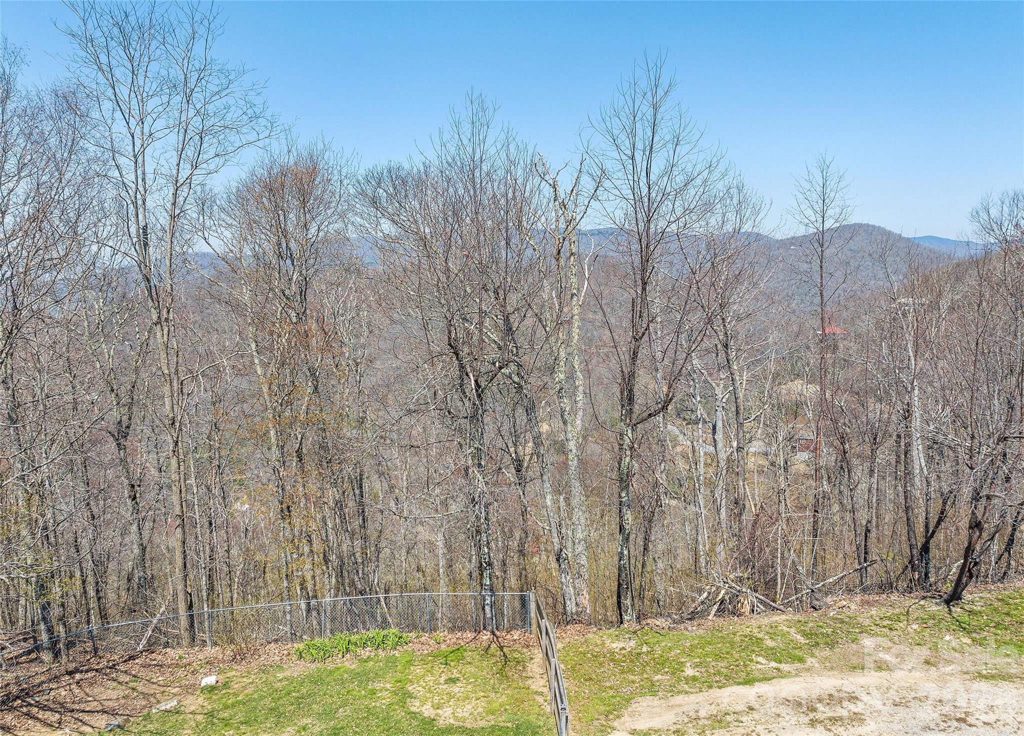 173 Blizzard Ridge Maggie Valley, NC 28751 - Photo 36 of 37 a view of a yard with large trees