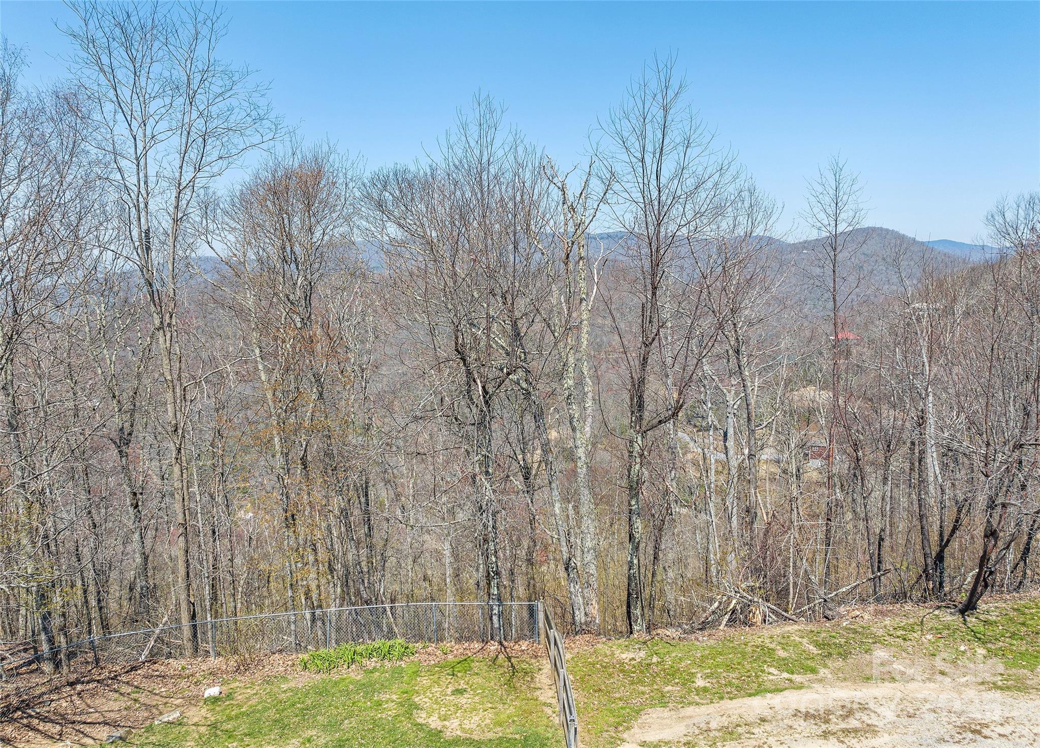 173 Blizzard Ridge Maggie Valley, NC 28751 - Photo 36 of 37 a view of a yard with large trees