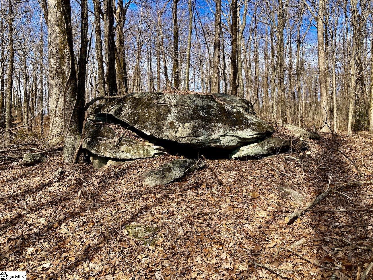 Rockstack Way Landrum, SC 29356 - Photo 4 of 7 Gallery Image 4