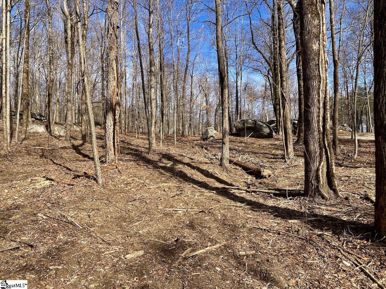 Rockstack Way Landrum, SC 29356 - Photo 6 of 7 Gallery Image 6