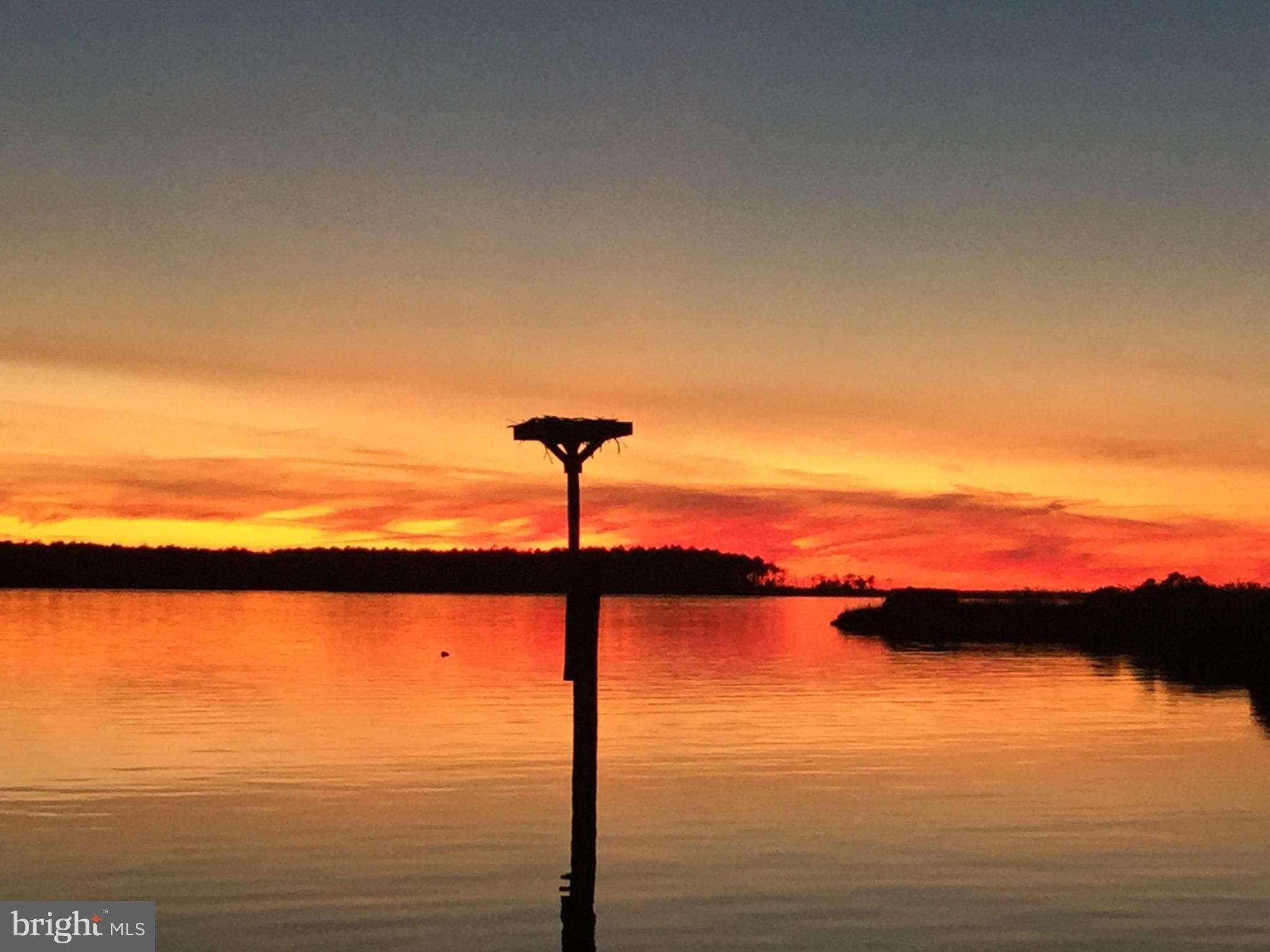 Magnificent sunset!  Osprey Nest