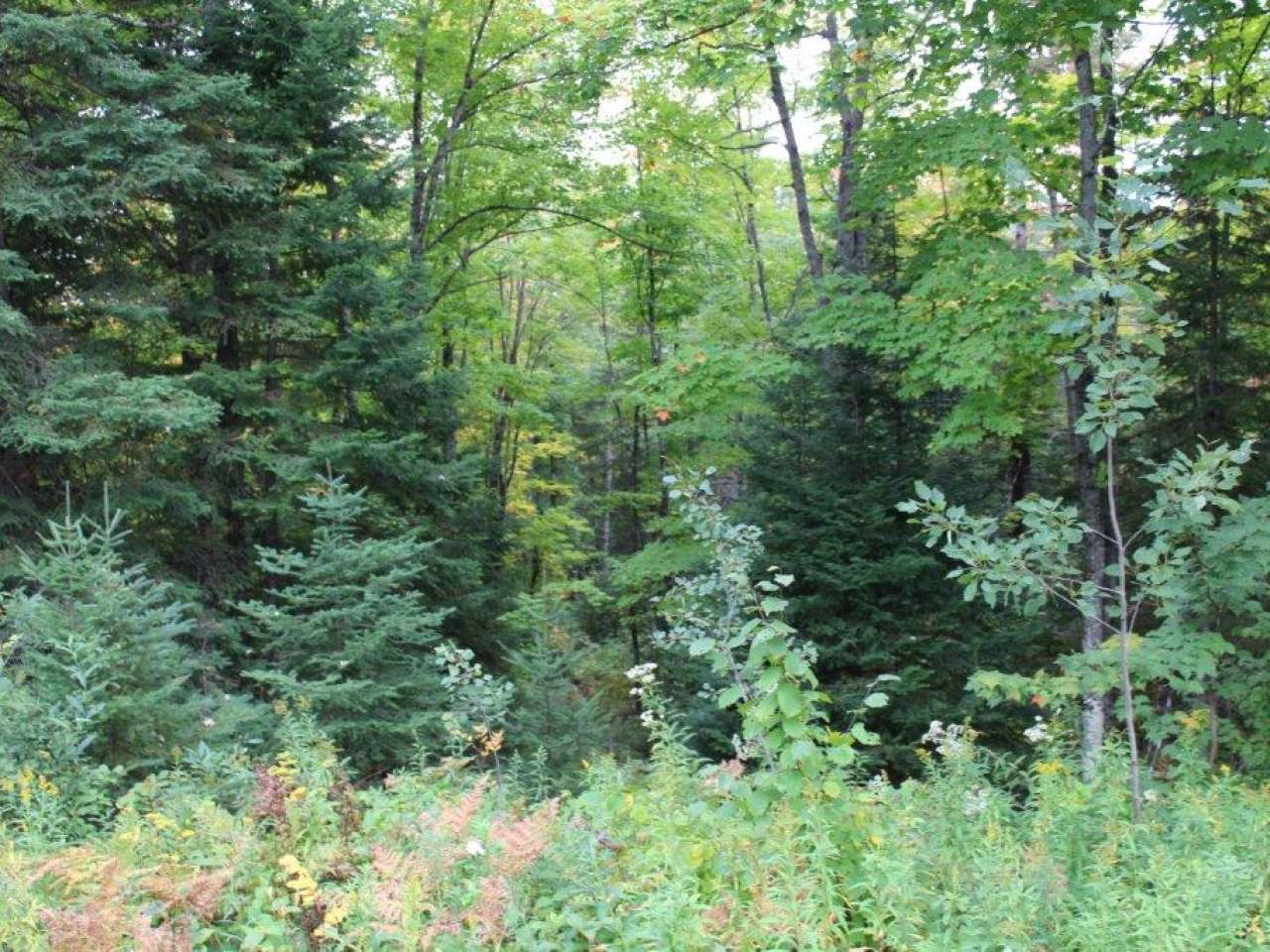 On Strong Road, Unit 39 ACS Phelps, WI 54554 - Photo 15 of 15 Gallery Image 15