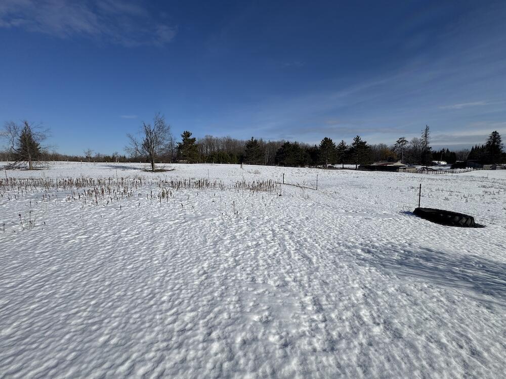 1180 West Miller Road Mio, MI 48647 - Photo 33 of 100 IMG_0474