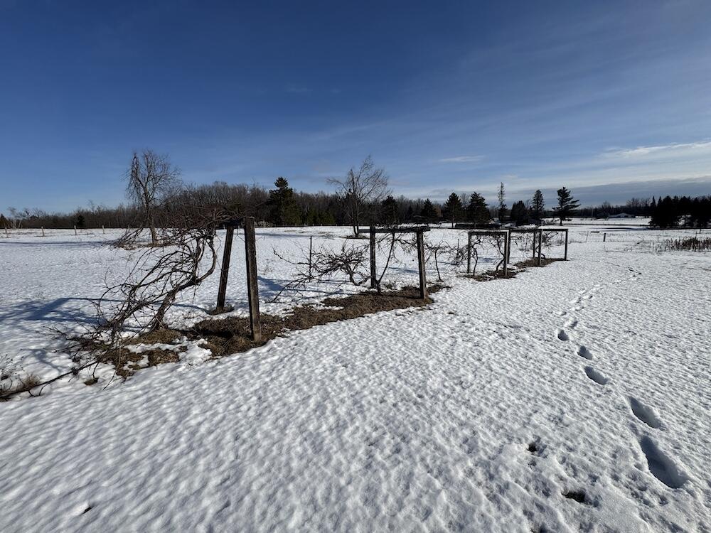 1180 West Miller Road Mio, MI 48647 - Photo 35 of 100 IMG_0477