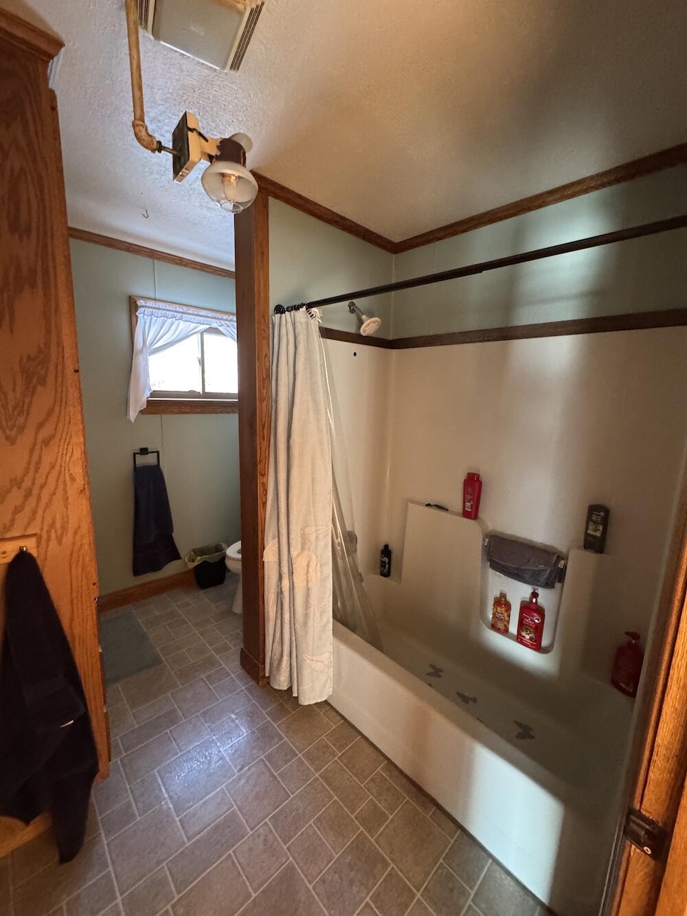 1180 West Miller Road Mio, MI 48647 - Photo 55 of 100 IMG_0499